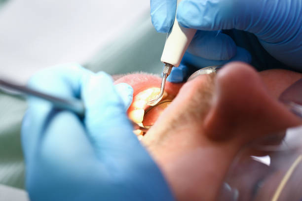 Best Emergency X-Rays and Diagnostics in Nebo, NC